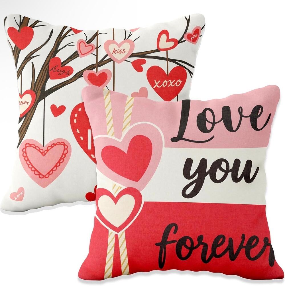 2 pcs cute Valentine’s Day throw pillow covers sealed 18x18”